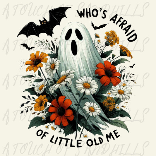 Who`s Afraid Of Little Old Me